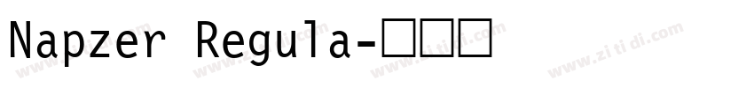 Napzer Regula字体转换